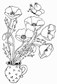 coloriage coquelicot et papillon dessin gratuit a imprimer lion