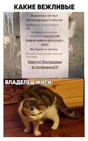 pin na doske hi bitch