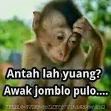 Trending stiker whatsapp stiker whatsapp lucu png, 18 11 2019 tren bikin stiker lucu dan unik menggunakan foto sendiri kini melanda pengguna whatsapp caranya gampang dengan aplikasi ini. Kata Kata Lucu Bahasa Minang Kabau Lucu Gambar Lucu Teks Lucu