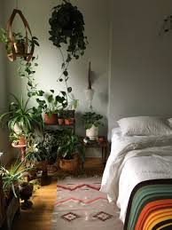 Caring For Indoor Plants In Low Light Conditions Architectural Digest