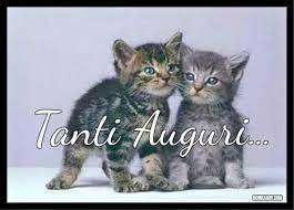 Frasi E Immagini Di Buon Compleanno 50 Foto Bonkaday Com Immagini Di Buon Compleanno Buon Compleanno Compleanno