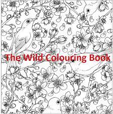 This interview with meg cowley gave me everything i needed to know to publish these very different kinds of books, so i'm thrilled to be sharing it with you today. The Wild Colouring Book By Meg Cowley Colour With Claire