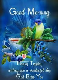 100 Good Morning Tuesday Quotes Images And Greetings Collection In 2020 Good Morning Tuesday Happy Tuesday Morning Tuesday Quotes Good Morning