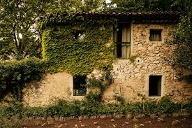 Image result for Galiniera