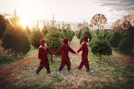 Maybe you would like to learn more about one of these? Santa S Christmas Tree Farm Li