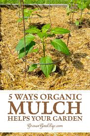 Mulch is also a critical part of landscape management due to its ability to retain soil moisture and. 5 Ways Organic Mulch Helps Your Vegetable Garden
