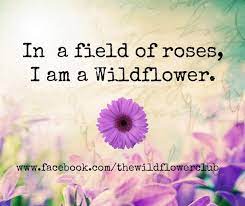 Some of the technologies we use are necessary for critical functions like security and site integrity, account authentication, security and privacy preferences, internal site usage and maintenance data, and to make the site work correctly for browsing and transactions. 26 Flower Quotes Flower Quotes Wild Flower Quotes Flower Quotes Life