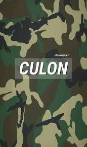 Pin En F O N D O S