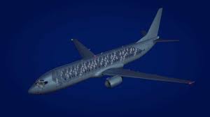 It was heading for pontianak in west kalimantan, a journey that takes about 90 minutes. All 50 On Board Boeing 737 500 Killed In Russia Plane Crash Youtube
