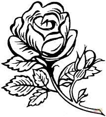 For boys and girls, kids and adults, teenagers and toddlers, preschoolers and older kids at school. Beautiful Rose Realistic Rose Coloring Pages Find The Perfect Rose Picture From Over 40 000 Of The Best Rose Images Another Wiens