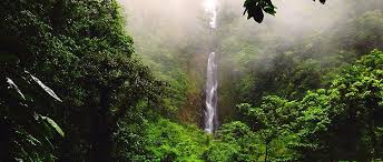 This form is intended to obtain information about contractors and artisans here in dominica. Kreuzfahrten Nach Roseau Dominica Royal Caribbean Cruises