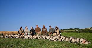 Profile for Mathias Cheney