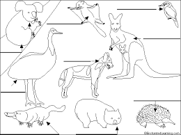 Label Australian Animals Enchantedlearning Com Australia Animals Australian Animals Animal Coloring Pages