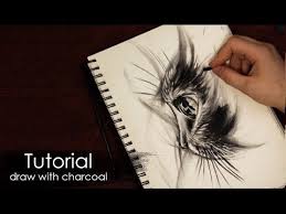 Tutorial How To Draw A Cat With Charcoal And Pencil Sketch Style Drawing Techniques Youtube Drawing Techniques Pencil Sketch Pencil Drawings Of Girls