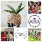 Kokedama Workshop with Simple Morea event image