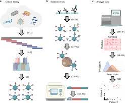 Both johnson & johnson and astrazeneca vaccines are causing deaths via blood clots, obviously because the spike protein antibody causes blood clots that travel to. Phip Seq Characterization Of Serum Antibodies Using Oligonucleotide Encoded Peptidomes Nature Protocols