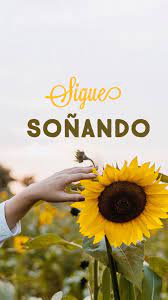 Original Itzel Pins Fondo Amarillo Imagenes Frases