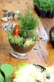 How To Make A Terrarium How To Make Terrariums Terrarium Diy Terrarium