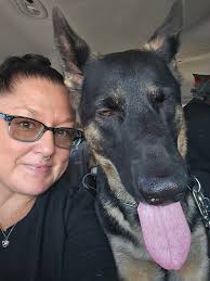 Spotted a goggle-wearing German shepherd while my sister was driving 😂