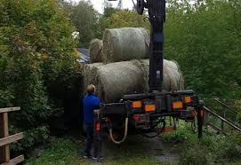 På en dryg halvtimme hinner stockholmska (egentligen från katrineholm) hårdrockarna i fatal smile avverka alla rockklyschor du kan tänka dig. Import Av Ho Laggs Pa Is Atl
