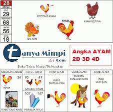 Masukkan ayam, masak selama lebih kurang 15 menit. Nomor Erek Erek Ayam Di Buku Mimpi Kode Alam Dan Shio Tanya Mimpi Buku Mimpi