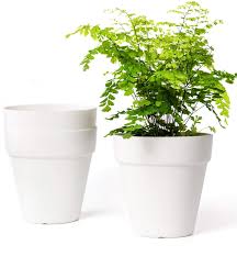 I love modern masters paint products so much, i even painted my kitchen bar stools and now i don't have to run out and buy new ones!. Mkouo 14cm Plastic Plant Pots Set Of 3 Indoor Outdoor Flower Planters Modern Decorative Gardening Pot With Drainage For All House Plants Beige Buy Online In Aruba At Aruba Desertcart Com Productid 123188288