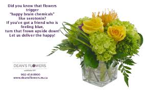 Discover (and save!) your own pins on pinterest. Winchester And Stone Deansflowershfx Twitter