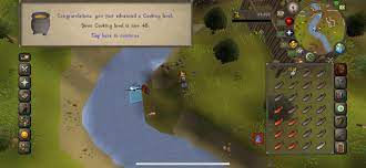 48 cooking : r2007scape