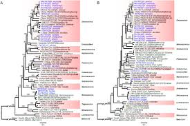 송 혜 교, 22 november 1981) adalah aktris dan model asal korea selatan.ia memperoleh kesuksesannya melalui serial televisi autumn in my heart (2000), all in (2003), full house (2004), that winter, the wind blows (2013), dan drama sukses descendants of the sun (2016). Identification Of Novel Bat Coronaviruses Sheds Light On The Evolutionary Origins Of Sars Cov 2 And Related Viruses Biorxiv