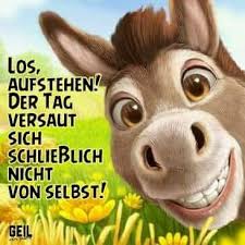 Was Heisst Da Los Aufstehen Bin Schon Um 5 45 Uhr Aufgestanden Da Hast Du Noch Geschnarcht Um 6 Guten Morgen Lustig Schonen Tag Spruche Donnerstag Lustig