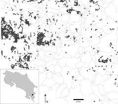 They are pollinators and beneficial but often times nest in the it is common for them to inhabit a rodent burrow made by mice, gophers or chipmunks. Detecting Changes In Habitat Scale Bee Foraging In A Tropical Fragmented Landscape Using Stable Isotopes Sciencedirect