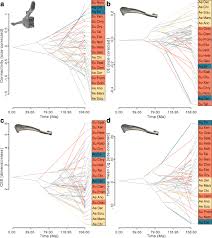 The rounded humeral head fits into the glenoid fossa (cavity) of the scapula. Differing Effects Of Size And Lifestyle On Bone Structure In Mammals Bmc Biology Full Text