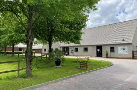 Laser treatment is suitable for dogs and cats, is free from. Altano Gruppe Altano News