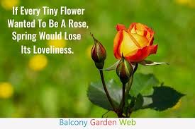 Explore our collection of motivational and famous quotes by authors you family garden quotes. 47 Beautiful Garden Quotes Balcony Garden Web