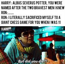 Your daily dose of fun! A Wizarding Collection Of Harry Potter Memes No Respect Memes