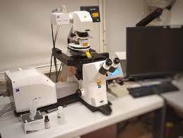 Zeiss Lsm700 In2 Biop Epfl