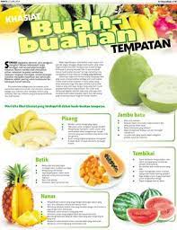 Sebahagian orang barat yang tidak tahan dengan baunya telah menggambarkan buah durian dengan gambaran seperti. Khasiat Buah Buahan Tempatan Klik