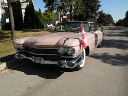 Image result for Wood Rose 1959 Cadillac