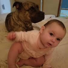 I'm not happy this page promotes crocodilesxas pets. If you love crocodiles  you should leave them in their natural habitat. Not with a collar. Not in a  house. Not handled by humans