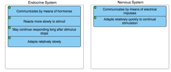 Endocrine Lecture Flashcards Quizlet