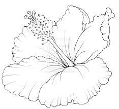Hibiscus step by step drawing for kids. Hibiscus Flower Tattoo By Metacharis On Deviantart Hibiscus Flower Drawing Hibiscus Flower Tattoos Flower Drawing