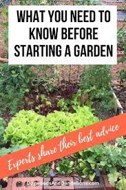 Starting A Garden Expert Advice From Experienced Gardeners Starting A Garden Gardening For Beginners Organic Gardening Tips