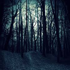 Woods Wallpapers Wallpapersafari Dark Wood Background Scary Woods Picture Backdrops