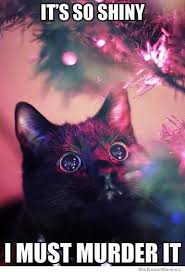 8 Ways To Worship Your Cat God During The Holidays
