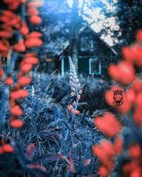 Cb Picsart Editing Background Full Hd3 Image Free Dowwnload Iphone Background Images Dslr Background Images Blurred Background Photography