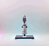 3D Viewing Image Stereo Microscope with Adjustable Speed