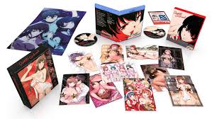 Domestic girlfriend is a japanese manga series written and illustrated by kei sasuga and serialized in kodansha's weekly shōnen magazine. Kaufen Bluray Domestic Girlfriend Premium Box Set Blu Ray Archonia De