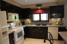 Kitchen Design Ideas With White Appliances Home Design Ideas From What Color Kitchen Ca White Kitchen Appliances White Wood Kitchens Dark Wood Kitchen Cabinets
