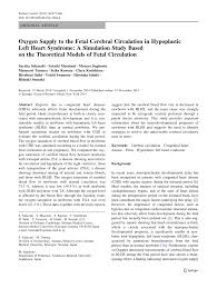 pdf oxygen supply to the fetal cerebral circulation in