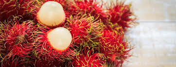 Home > fruit basics > unusual fruits from around the world. 29 Exotic Fruits For Tropical Flavor Loquat Prickly Pear Mangosteen Starfruit And More Berkeley Wellness
